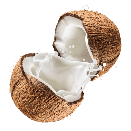 coconut milk 485115683 removebg preview